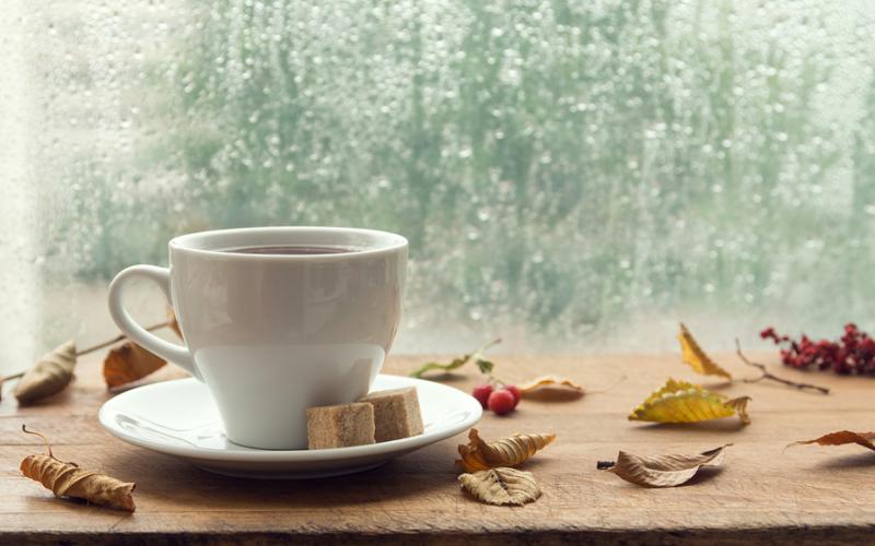 Τροφές που ευνοούν το έντερο μας